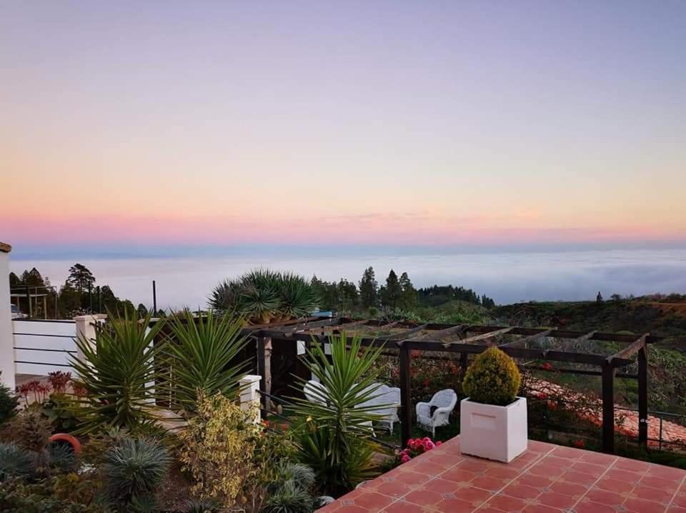 Finca Dulce Maikel Гранадилла-де-Абона Экстерьер фото