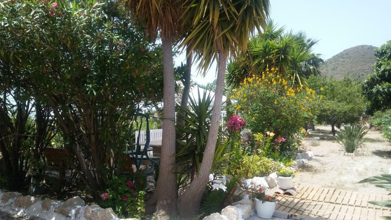 Finca Dulce Maikel Гранадилла-де-Абона Экстерьер фото